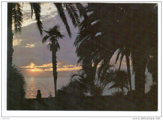 sunset at sea - palm trees - Gagra - Abkhazia - 1982 - Georgia USSR - unused - JH Postcards