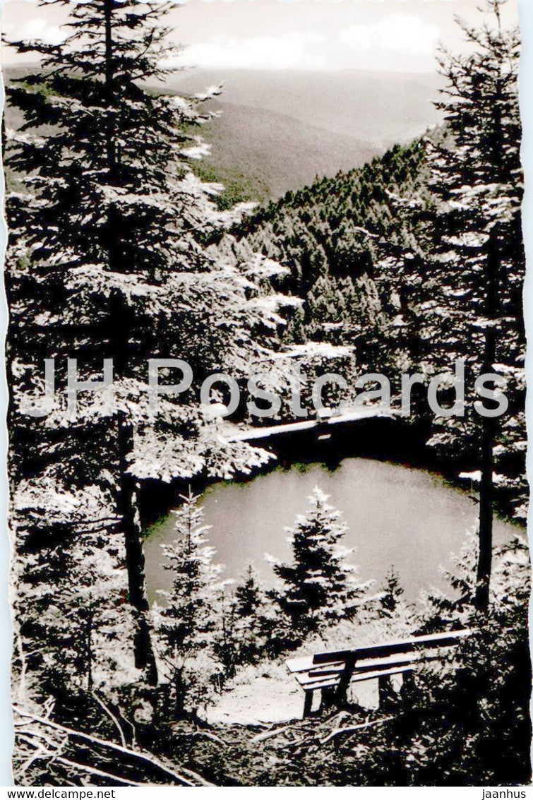 Ein stiller Schwarzwaldsee - Glaswaldsee - old postcard - Germany - unused - JH Postcards