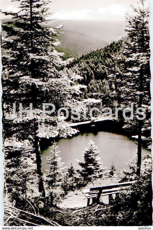 Ein stiller Schwarzwaldsee - Glaswaldsee - old postcard - Germany - unused - JH Postcards