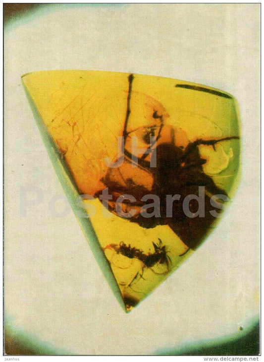 Piece of Amber with Inclusions - 3 - Amber - Gintaras - 1973 - Lithuania USSR - unused - JH Postcards