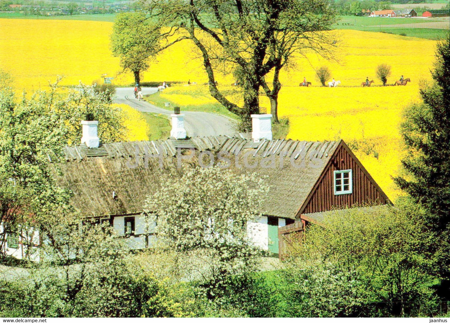 Country House in Autumn - 1 - Sweden - unused - JH Postcards