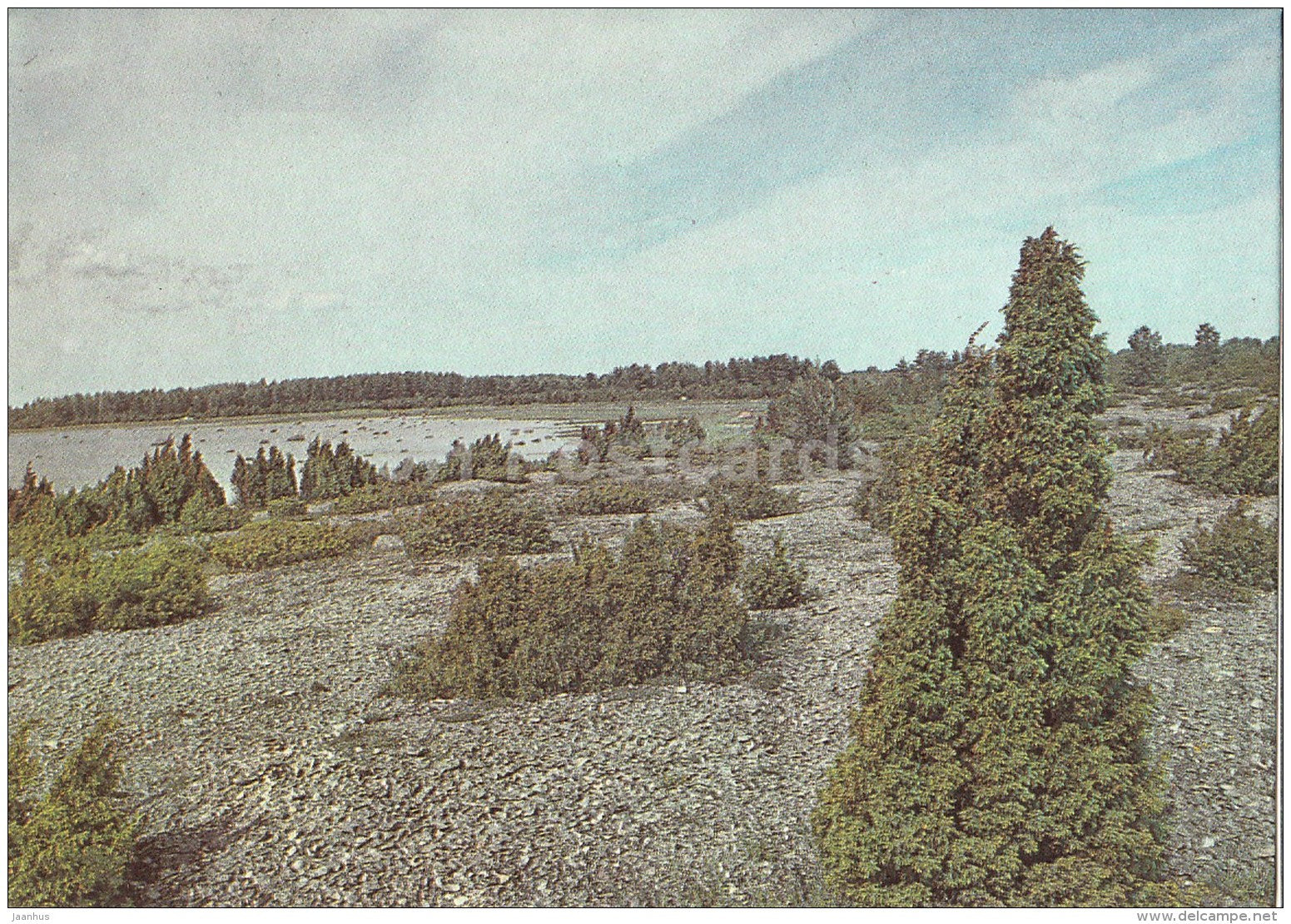 landscape in Kassari - Hiiumaa island - 1990 - Estonia USSR - unused - JH Postcards