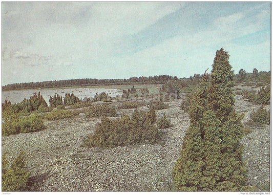 landscape in Kassari - Hiiumaa island - 1990 - Estonia USSR - unused - JH Postcards