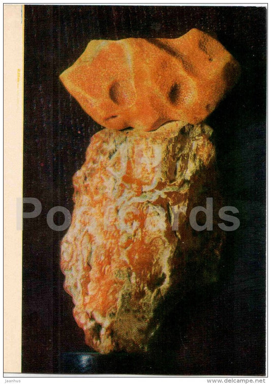 An Owl by E. Mikulevicius - art - Amber - Gintaras - 1973 - Lithuania USSR - unused - JH Postcards