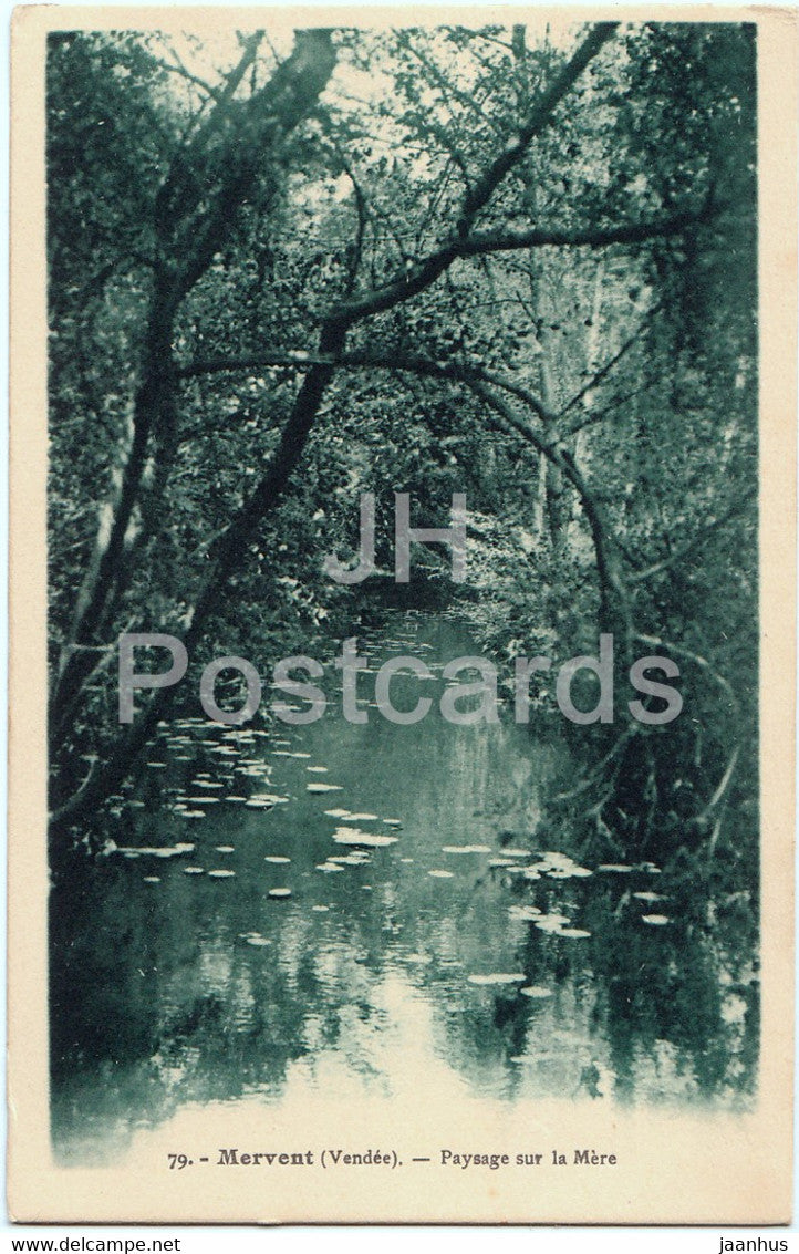 Mervent - Paysage sur la Mere - 79 - old postcard - France - unused - JH Postcards