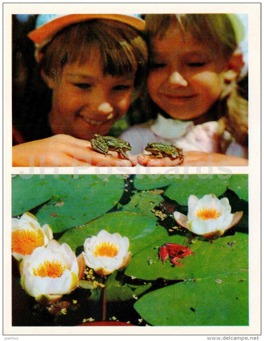 frog - water lily - children - Nature Encounter - 1973 - Russia USSR - unused - JH Postcards