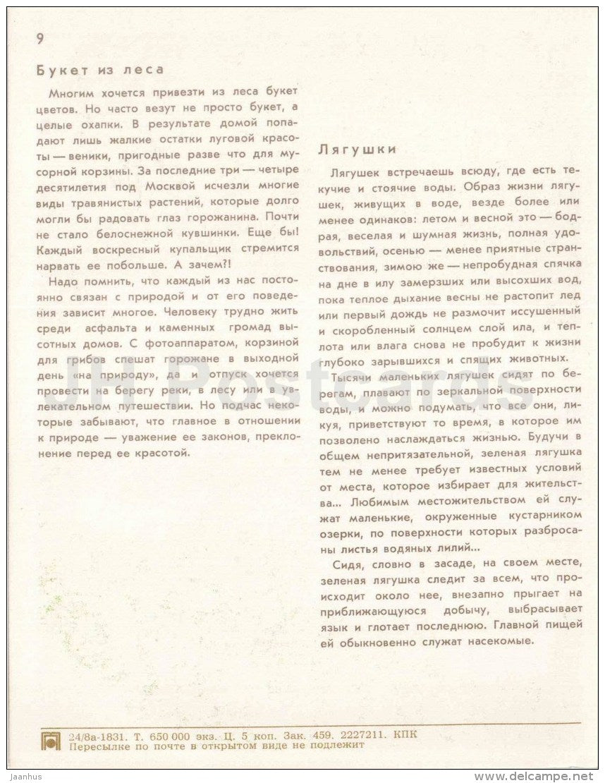 frog - water lily - children - Nature Encounter - 1973 - Russia USSR - unused - JH Postcards