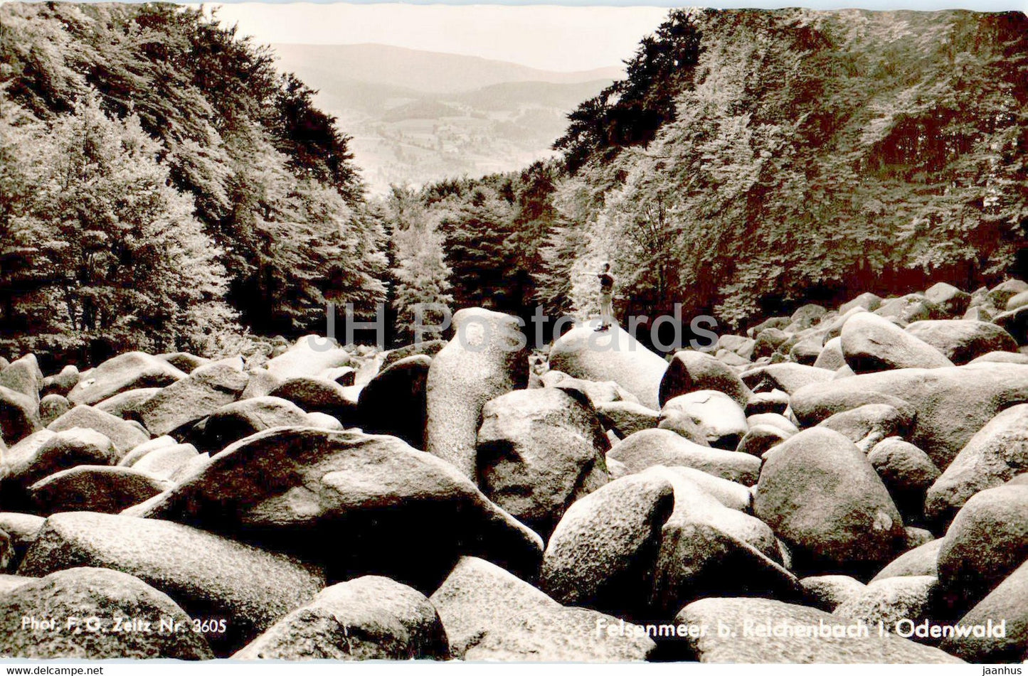 Felsenmeer b Reichenbach i Odenwald - old postcard - 1958 - Germany - used - JH Postcards