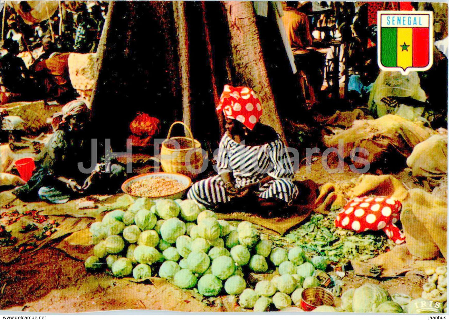 Scene de marche - market scene - cabbage - 6400 - Senegal - used - JH Postcards