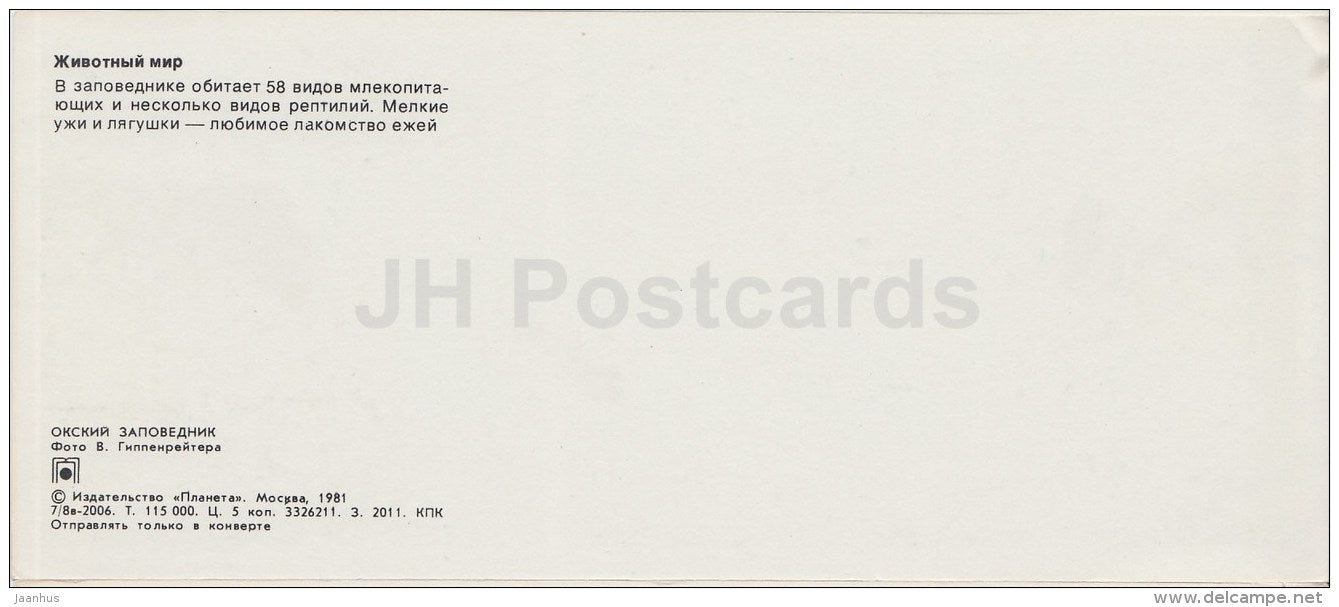 hedgehog - adder - Oka Nature Reserve - 1981 - Russia USSR - unused - JH Postcards