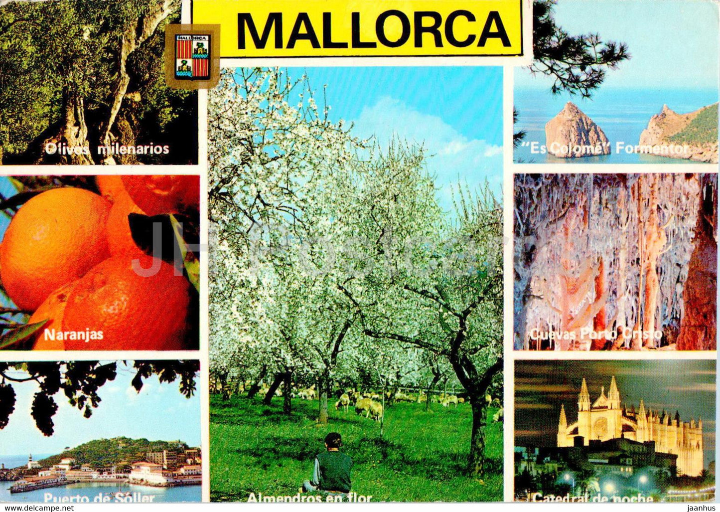 Mallorca - Diversos Aspectos - multiview - 2800 - Spain - used - JH Postcards