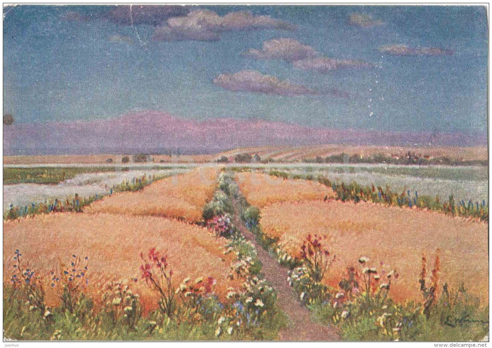 painting by E. Wrzeszcz - Field - signed - old postcard - art - used - JH Postcards