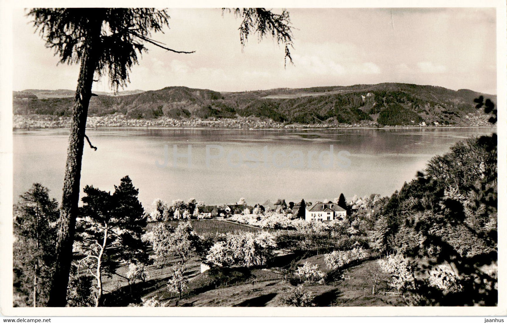 Bodman - Bodensee - Blick auf Schule und See - old postcard - 1956 - Germany - used - JH Postcards