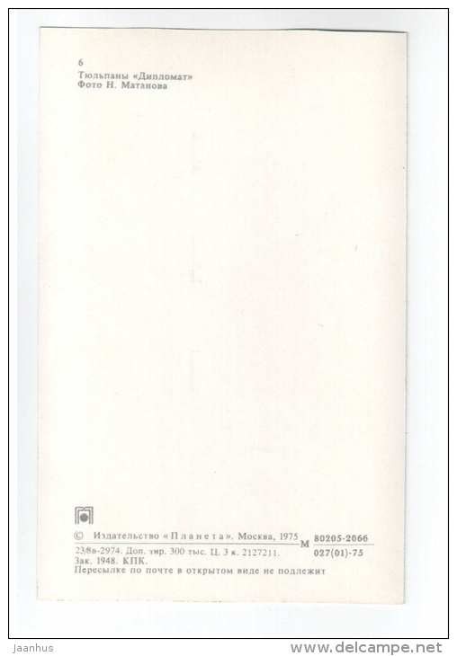 Diplomat - Tulips - flowers - 1975 - Russia USSR - unused - JH Postcards