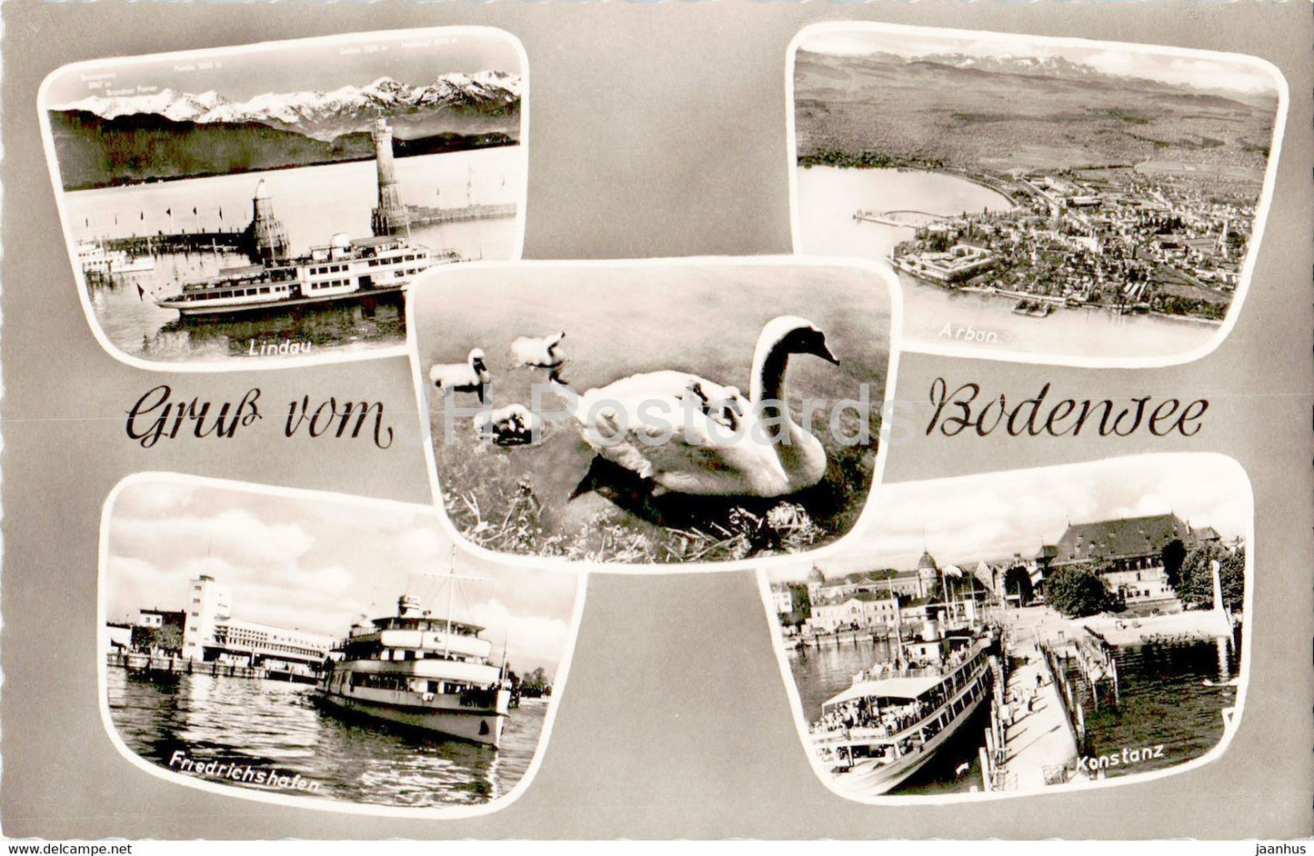 Gruss vom Bodensee - Lindau - Arbon - Friedrichshafen - Konstanz - ship - swan - birds - old postcard - Germany - unused - JH Postcards