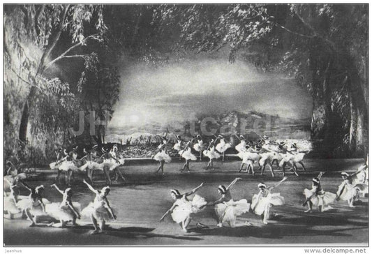 Gorsky setting - Swan Lake - ballet - 1977 - Russia USSR - unused - JH Postcards