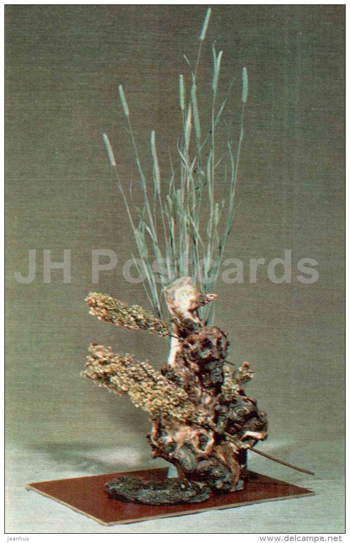 straws - ikebana - composition - Winter Motives - 1976 - Russia USSR - unused - JH Postcards