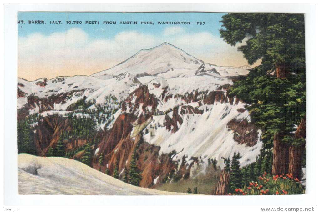 Mt. Baker from Austin Pass , Washington - mountain - P97 - old postcard - USA - unused - JH Postcards