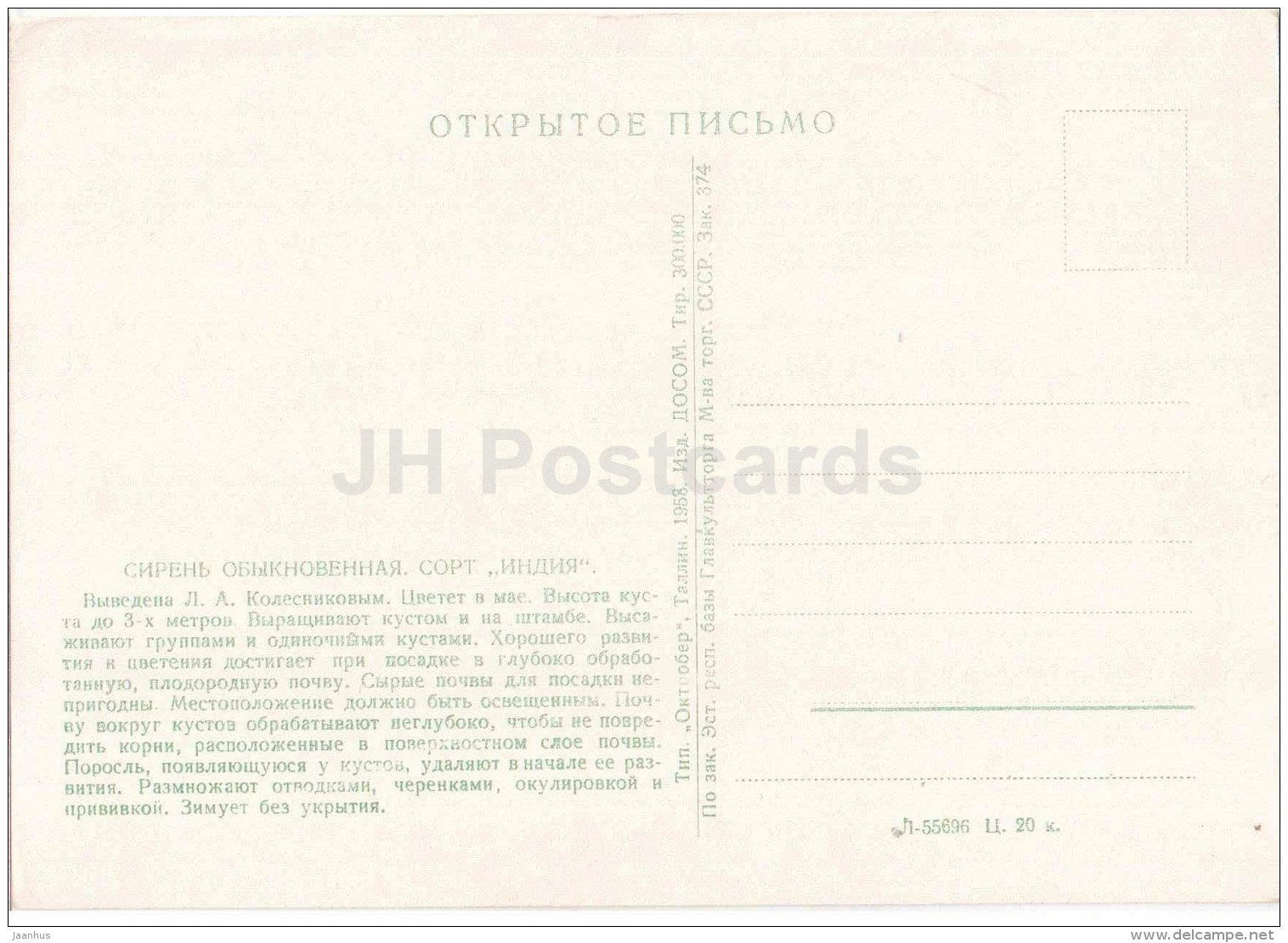 lilac India - 1958 - Russia USSR - unused - JH Postcards