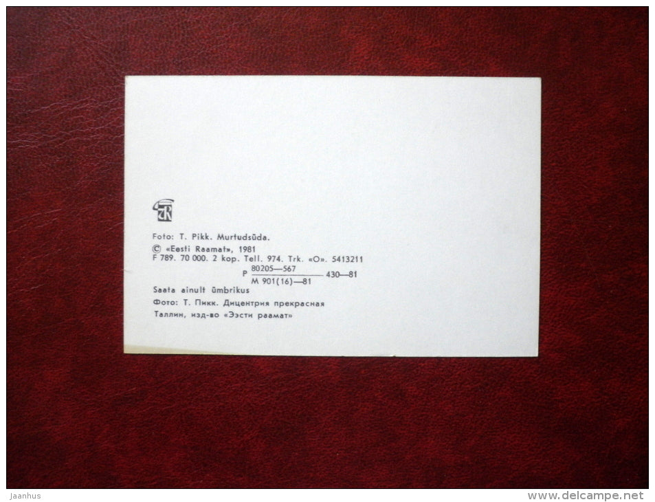 old-fashioned bleeding-heart - Lamprocapnos spectabilis - flowers - mini format card - 1981 - Estonia USSR - unused - JH Postcards