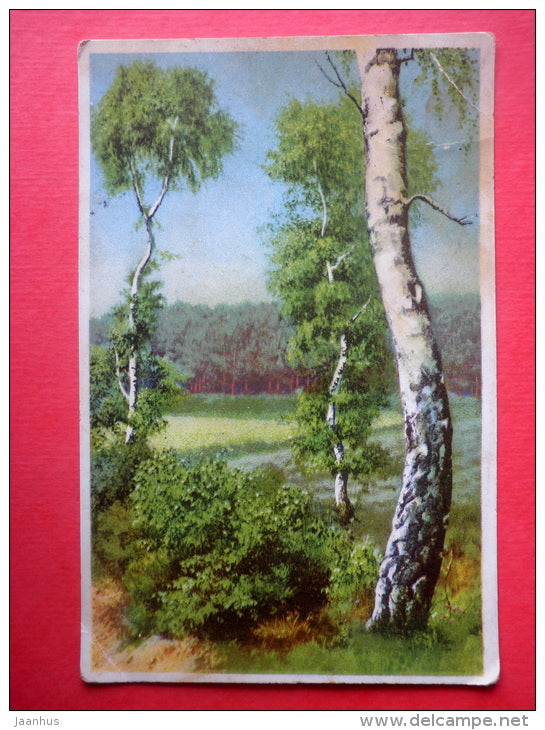 illustration - birch trees - HB - Photochromie - 3391 - old postcard - circulated in Estonia Kose 1922 - JH Postcards