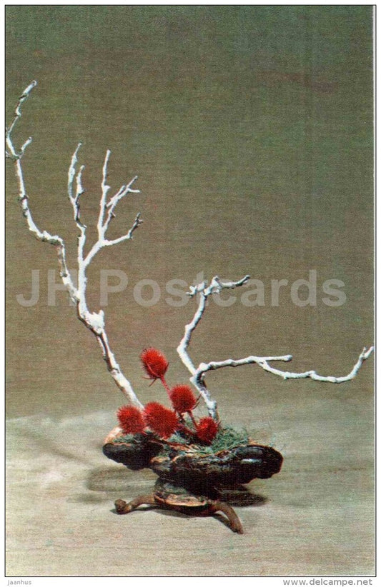 flowers - branches - ikebana - composition - Winter Motives - 1976 - Russia USSR - unused - JH Postcards