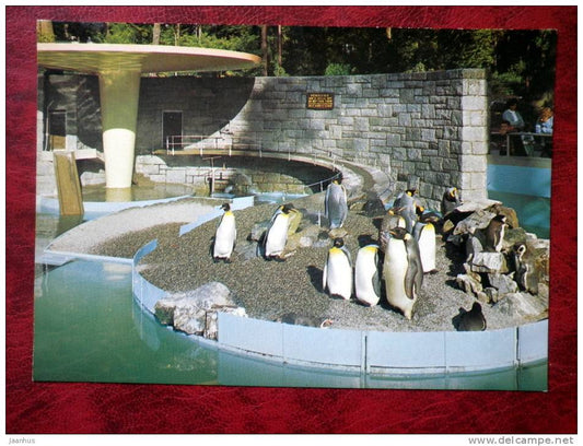 Penguins in Stanley Park - Vancouver - British Columbia - Canada - unused - JH Postcards