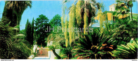 Sochi - Dendrarium - Palm Trees - 1979 - Russia USSR - unused - JH Postcards