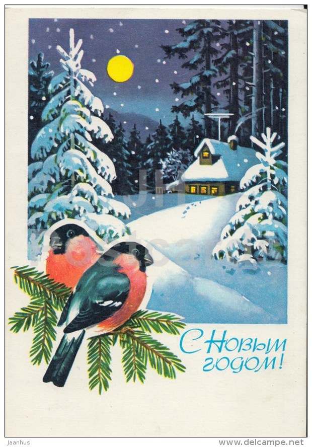 New Year greeting card by G. Kurtenko - bullfinch - forest - postal stationery - AVIA - 1977 - Russia USSR - used - JH Postcards