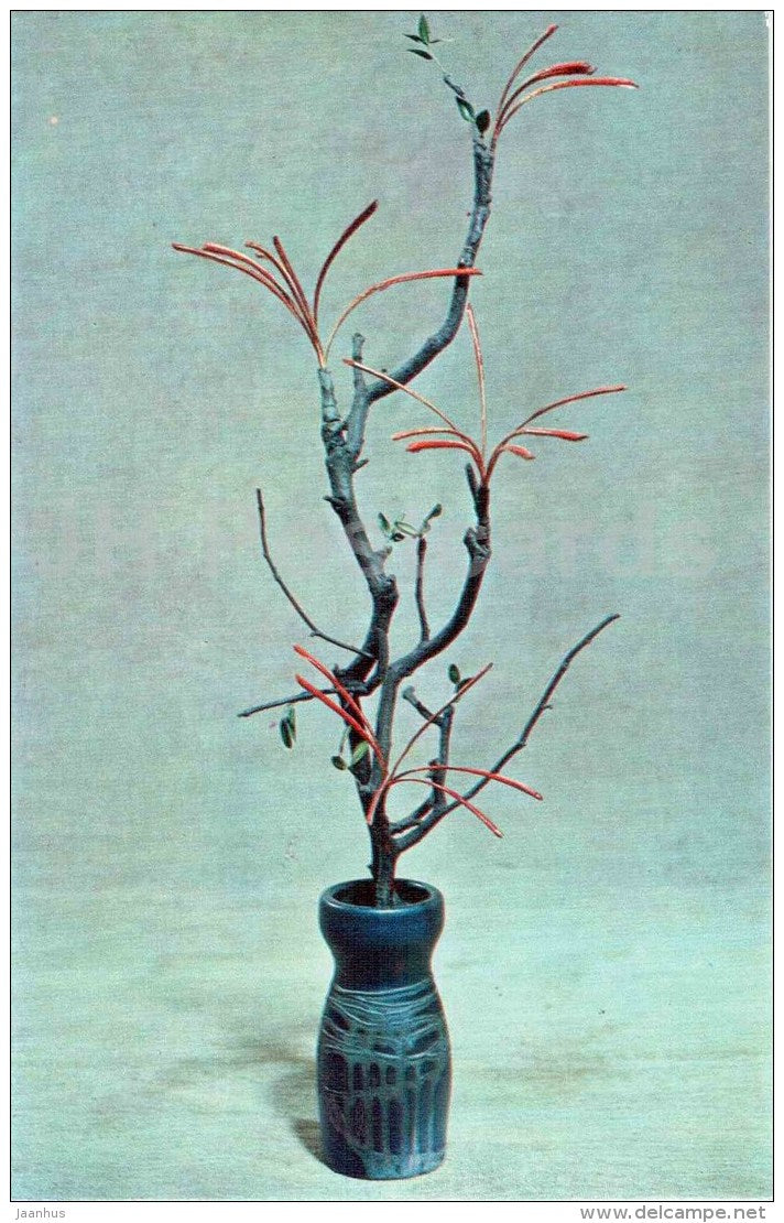 branch - vase - ikebana - composition - Winter Motives - 1976 - Russia USSR - unused - JH Postcards