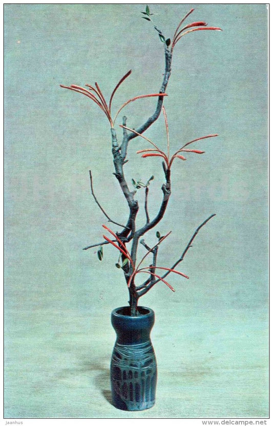 branch - vase - ikebana - composition - Winter Motives - 1976 - Russia USSR - unused - JH Postcards