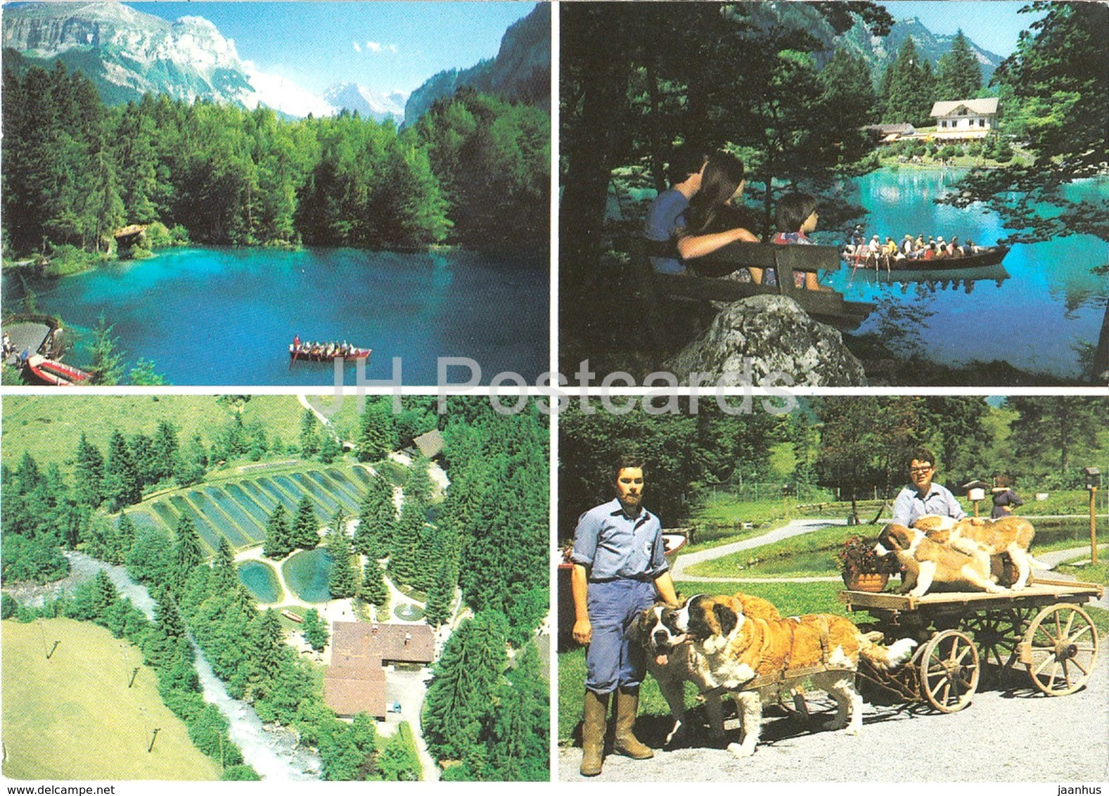 Blausee - Lac Bleu - Kleinod der Berner Alpen - dog St Bernard - multiview - 1989 - Switzerland - used - JH Postcards