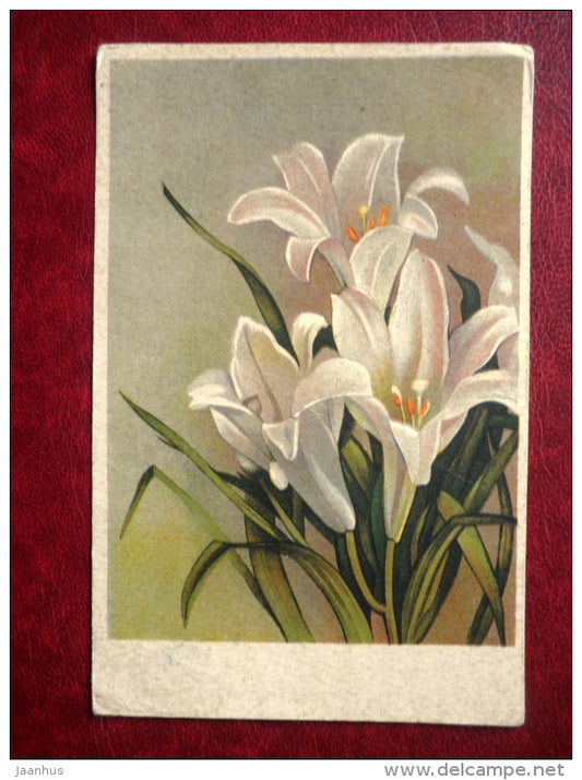 Greeting Card - white lily - flowers - 1952 - Estonia USSR - used - JH Postcards