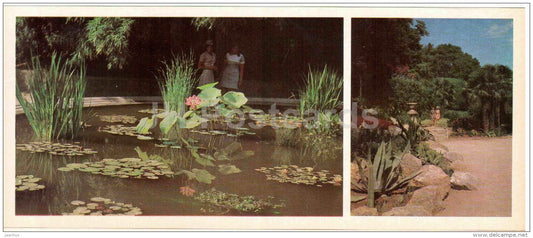Nikitsky Botanical Garden - the south coast of Crimea - 1979 - Ukraine USSR - unused - JH Postcards