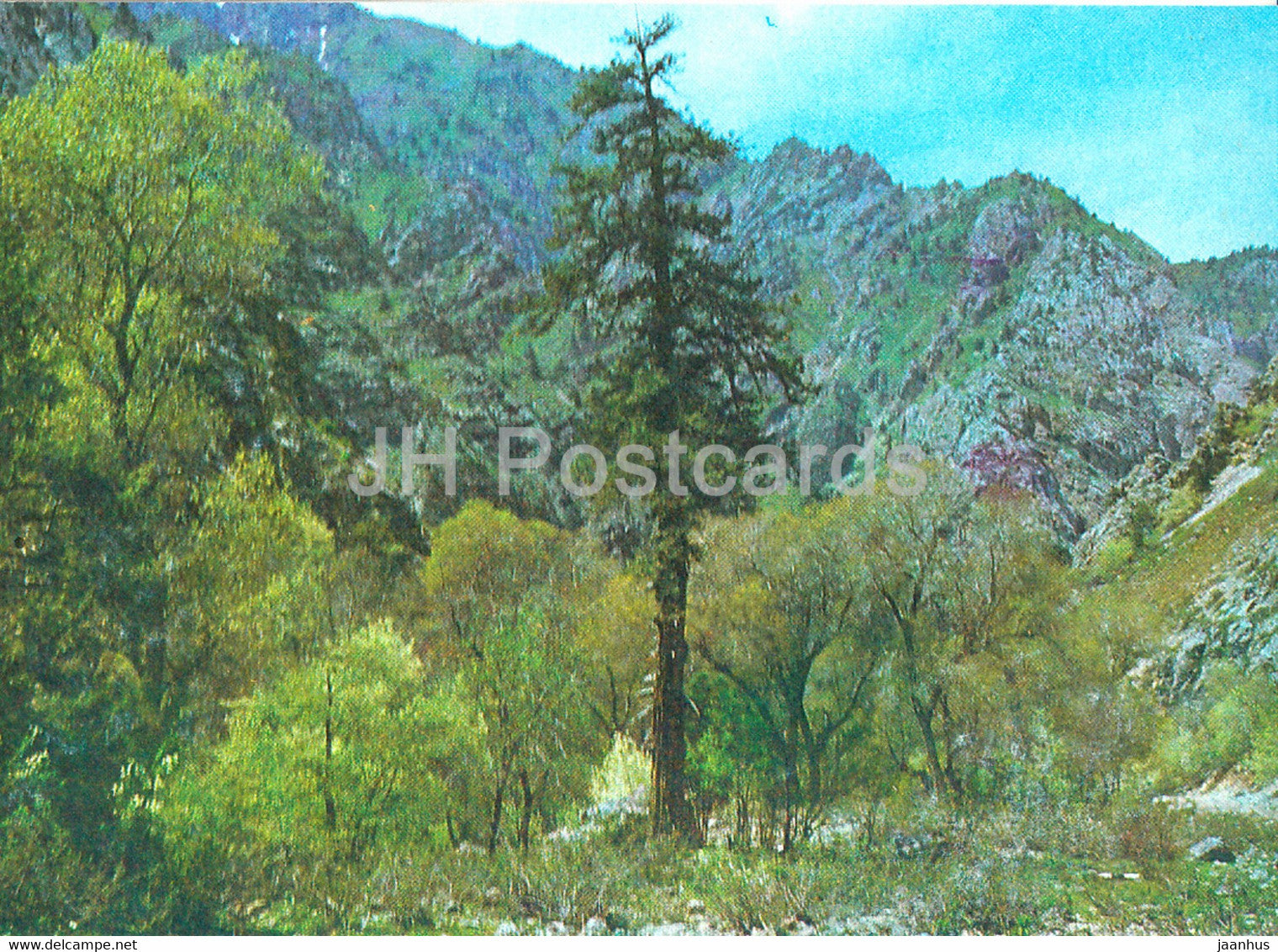 Autumn motifs - Nature Trails - 1981 - Uzbekistan USSR - unused - JH Postcards