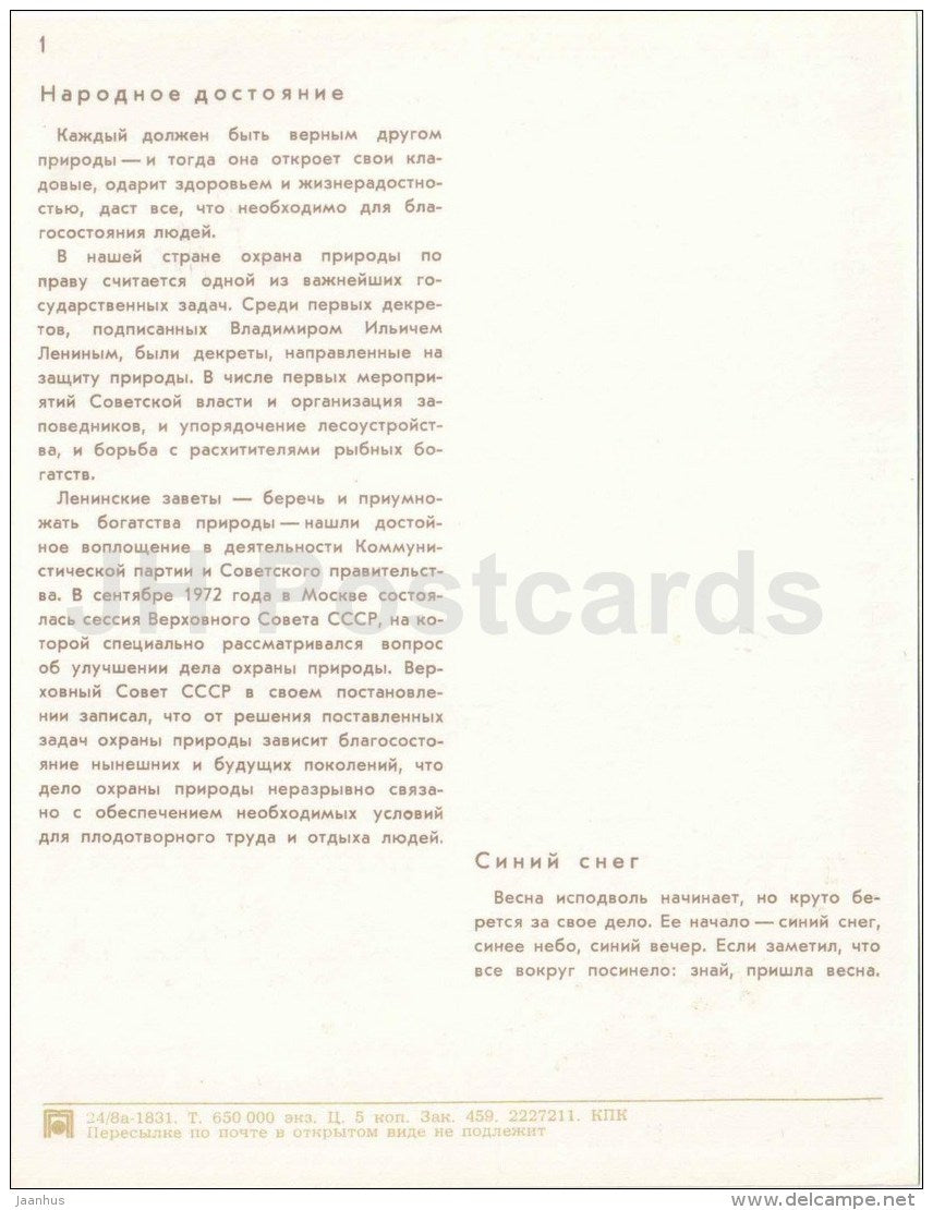 flowers - Nature Encounter - 1973 - Russia USSR - unused - JH Postcards