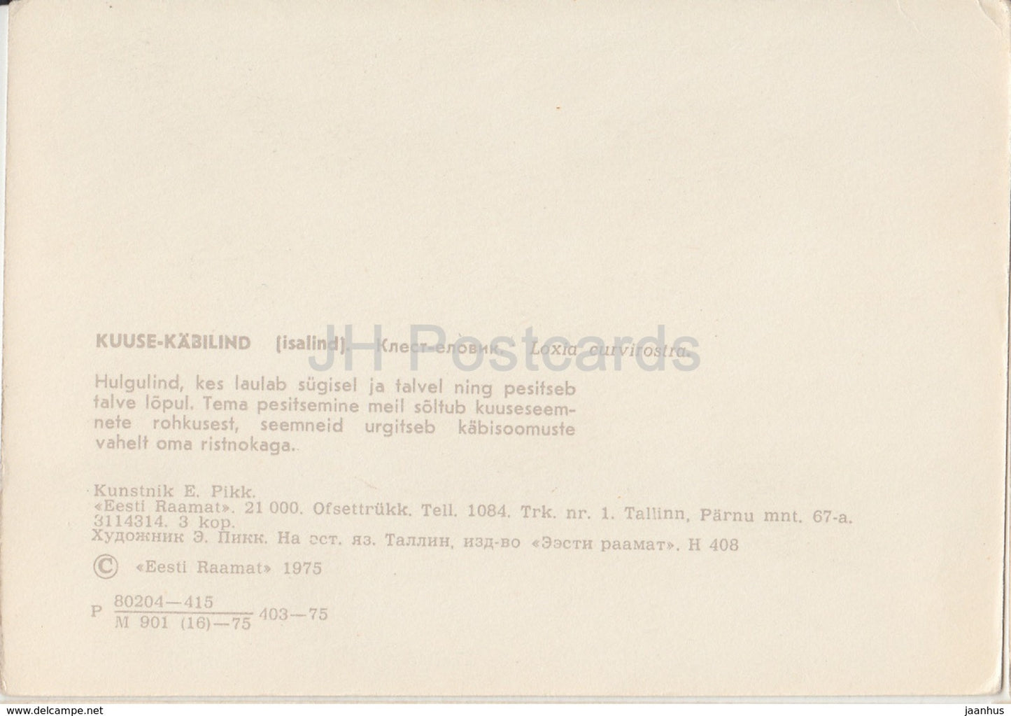 Red crossbill - Loxia curvirostra - birds - illustration by E. Pikk - 1975 - Estonia USSR - unused