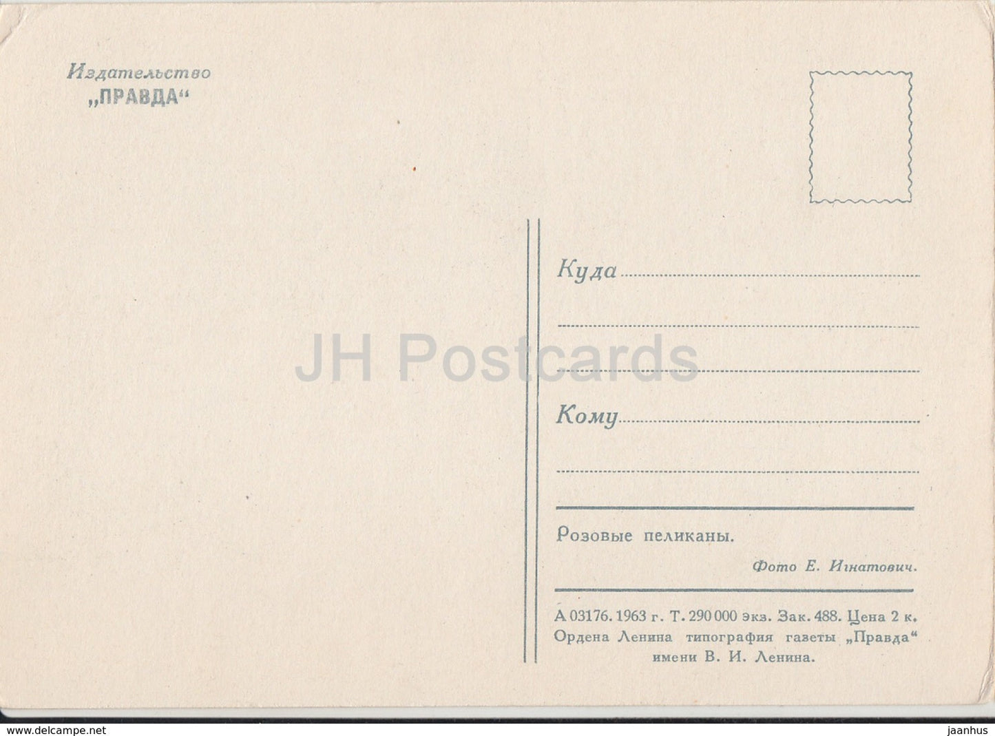 pelican - birds - animals - zoo - 1963 - Russia USSR - unused - JH Postcards