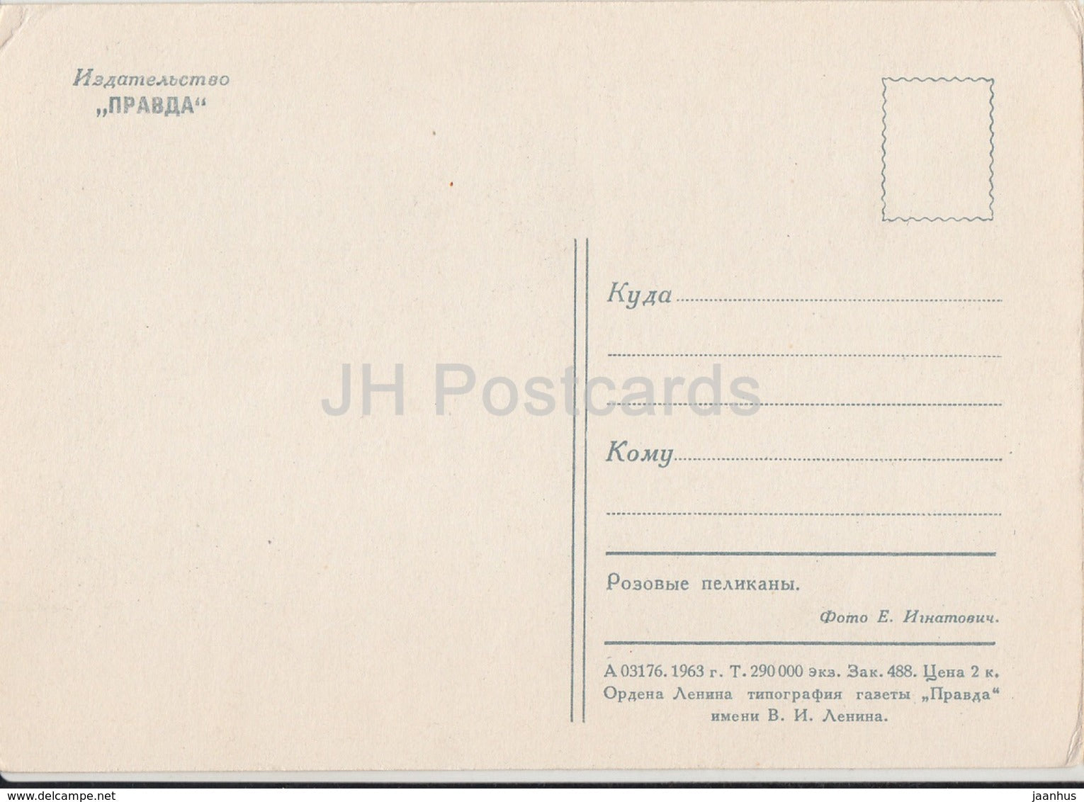 pelican - birds - animals - zoo - 1963 - Russia USSR - unused - JH Postcards