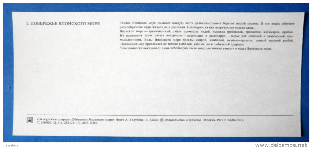 view - Japanese sea - 1977 - Russia USSR - unused - JH Postcards