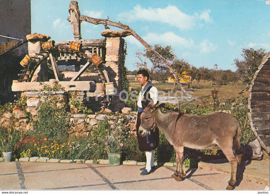 Mallorca - Noria tipica - Typical Noria - donkey - animals - folk costumes - 47 - 1978 - Spain - used - JH Postcards