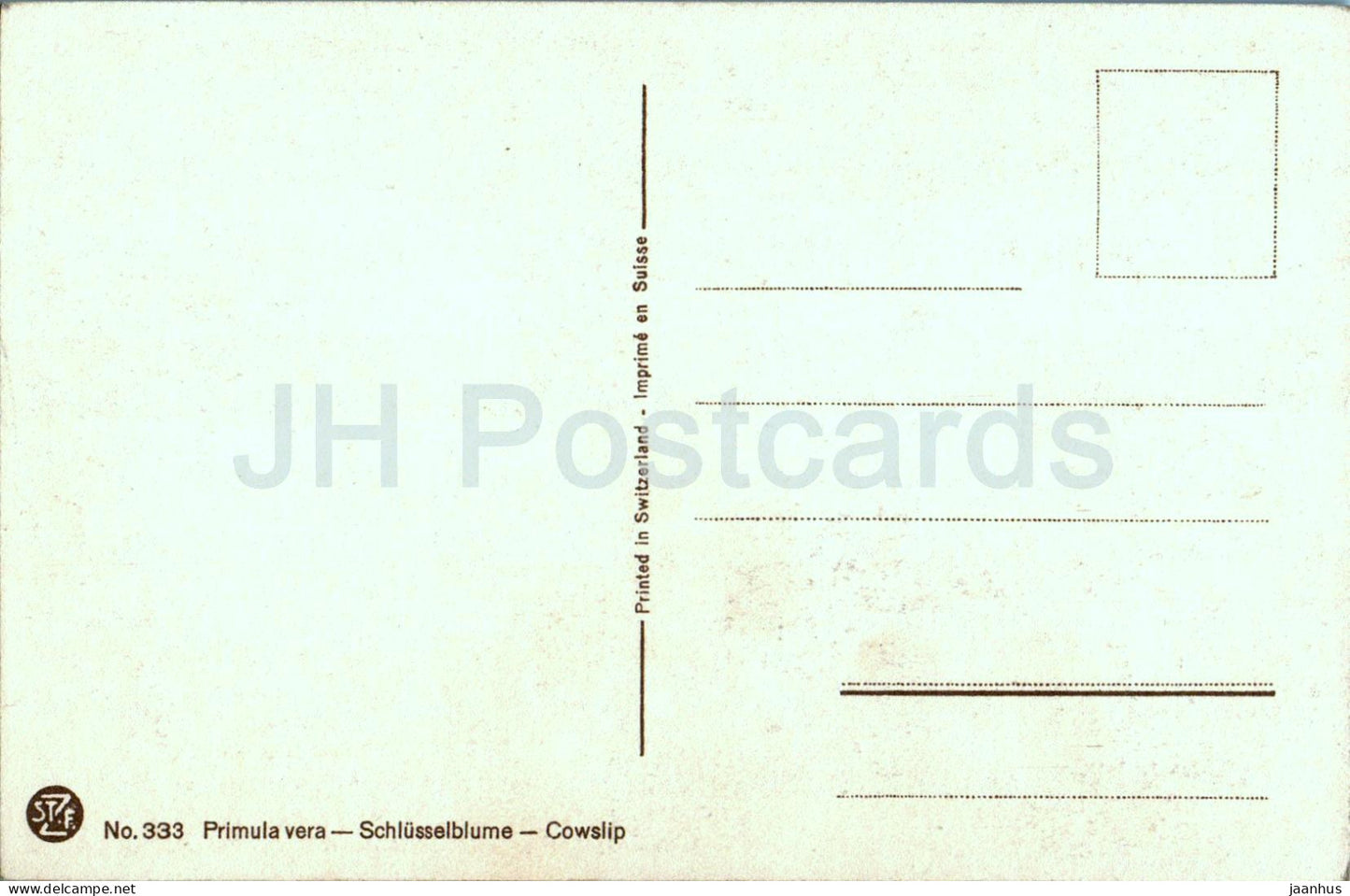 Primula vera - Schlusselblume - Cowslip - 333 - carte postale ancienne - fleurs - Suisse - inutilisé 