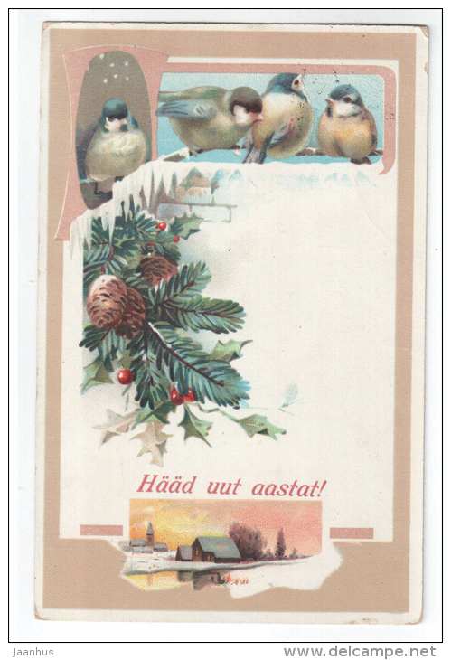 New Year Greeting Card - birds - tit - RPH 1097 - old postcard - circulated in Estonia 1924 Narva-Tallinn - used - JH Postcards