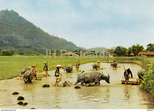Some Aspects of Vietnam - Preparation for Next Crop - Vietnam - unused - JH Postcards