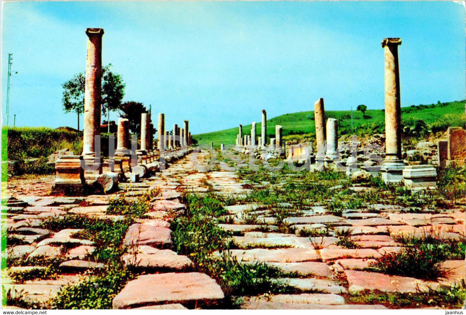 Bergama - Pergamum - Izmir - Mukaddes yol - Holy Way - ancient world - 847 - Turkey - unused - JH Postcards