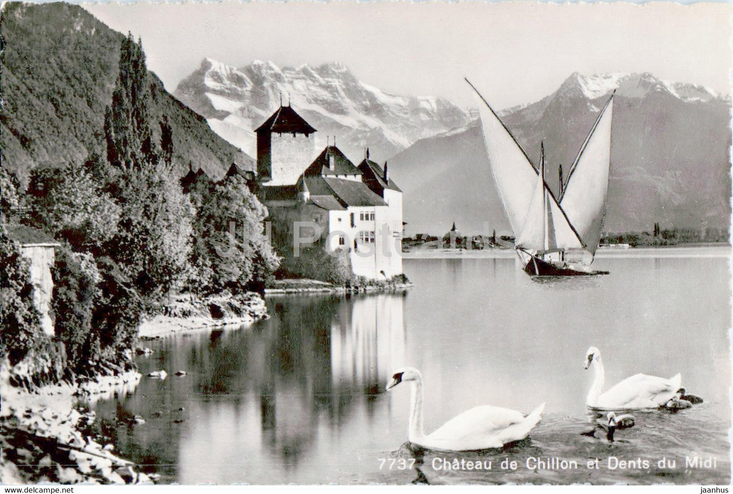 Chateau de Chillon et Dents du Midi - birds swan - sailing boat - castle - 7737 1946 - old postcard - Switzerland - used - JH Postcards