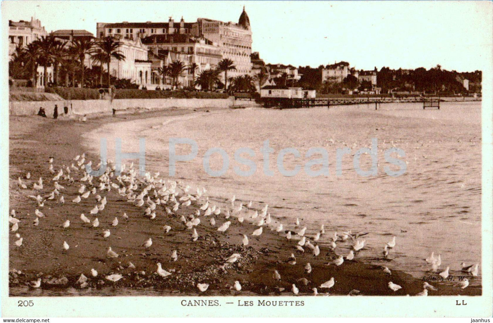 Cannes - Les Mouettes - LL - 205 - old postcard - France - unused - JH Postcards