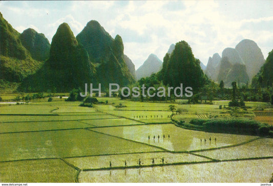 Kweilin - Guilin - Garden like rice fields at Chuanyen - 1973 - China - unused
