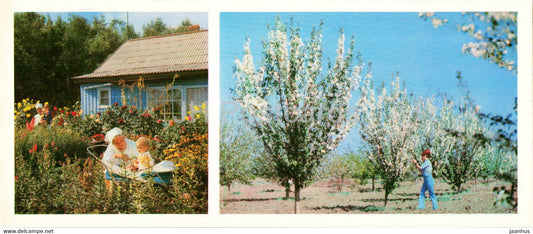 Kindergarten - Michurin Garden - 1976 - Kazakhstan USSR - unused - JH Postcards