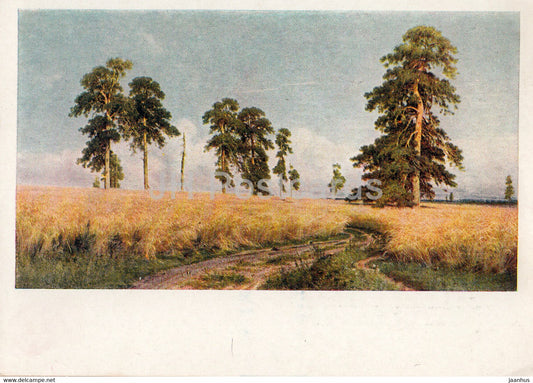 painting by I. Shishkin - Rye Field - Russian art - Russia USSR - unused - JH Postcards